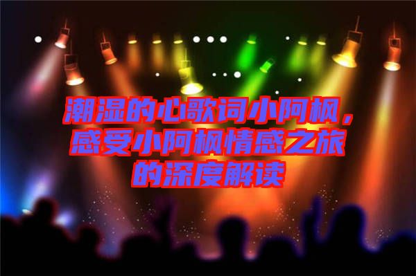潮濕的心歌詞小阿楓，感受小阿楓情感之旅的深度解讀