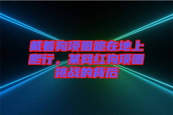 戴著狗項(xiàng)圈跪在地上爬行，某網(wǎng)紅狗項(xiàng)圈挑戰(zhàn)的背后