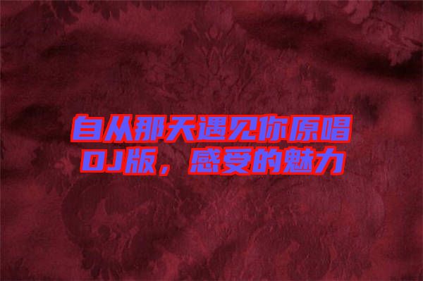 自從那天遇見你原唱DJ版，感受的魅力