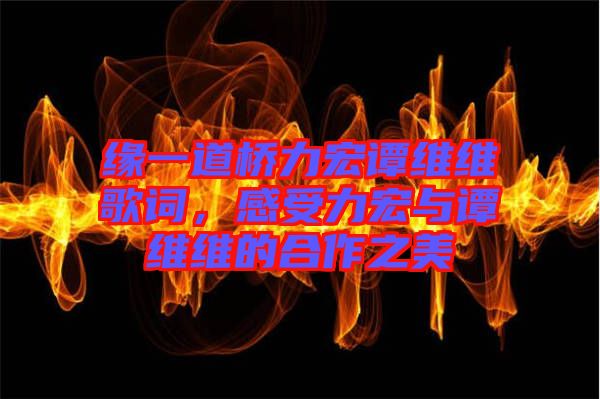 緣一道橋力宏譚維維歌詞，感受力宏與譚維維的合作之美