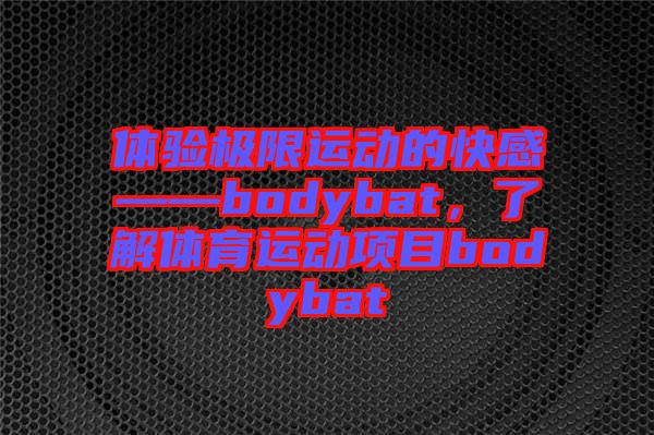 體驗(yàn)極限運(yùn)動(dòng)的快感——bodybat，了解體育運(yùn)動(dòng)項(xiàng)目bodybat