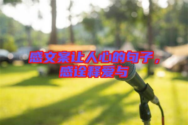 感文案讓人心的句子，感詮釋愛與