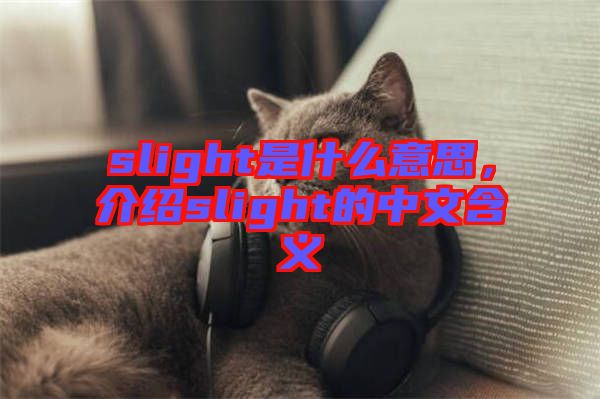 slight是什么意思，介紹slight的中文含義