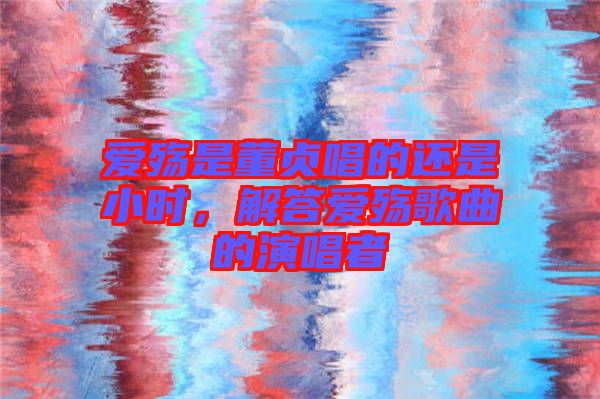 愛殤是董貞唱的還是小時(shí)，解答愛殤歌曲的演唱者