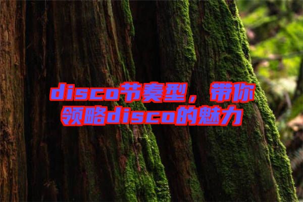 disco節(jié)奏型，帶你領(lǐng)略disco的魅力