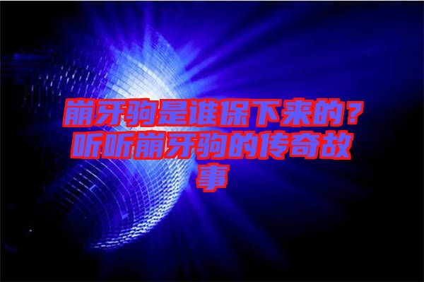 崩牙駒是誰保下來的？聽聽崩牙駒的傳奇故事