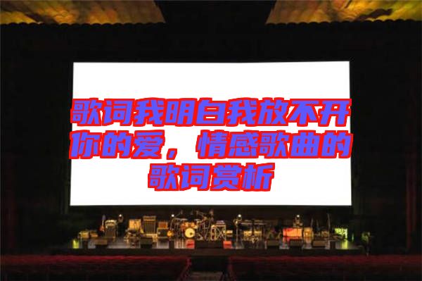 歌詞我明白我放不開你的愛，情感歌曲的歌詞賞析
