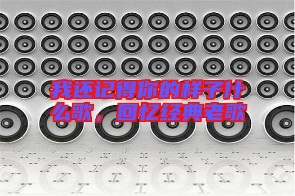 我還記得你的樣子什么歌，回憶經(jīng)典老歌