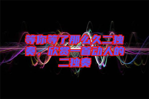 等你等了那么久二獨奏，欣賞一首動人的二獨奏