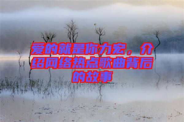 愛的就是你力宏，介紹網絡熱點歌曲背后的故事