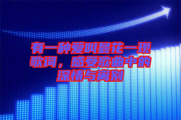 有一種愛叫曇花一現(xiàn)歌詞，感受歌曲中的深情與離別