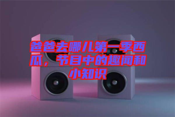爸爸去哪兒第一季西瓜，節(jié)目中的趣聞和小知識(shí)