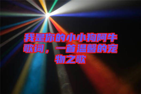 我是你的小小狗阿牛歌詞，一首溫馨的寵物之歌