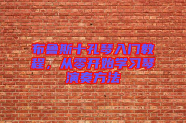 布魯斯十孔琴入門教程，從零開始學(xué)習(xí)琴演奏方法