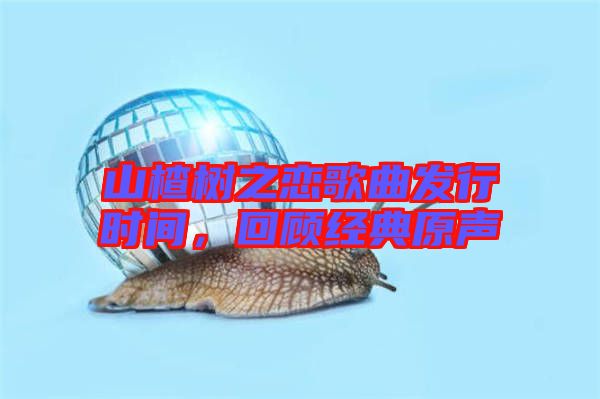 山楂樹(shù)之戀歌曲發(fā)行時(shí)間，回顧經(jīng)典原聲