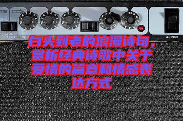 白頭到老的浪漫詩(shī)句，賞析經(jīng)典詩(shī)歌中關(guān)于愛情的篇章和情感表達(dá)方式