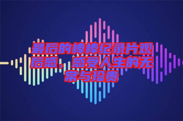 最后的棒棒紀(jì)錄片觀后感，感受人生的無常與珍貴