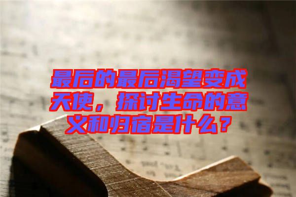 最后的最后渴望變成天使，探討生命的意義和歸宿是什么？