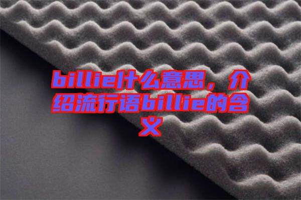 billie什么意思，介紹流行語(yǔ)billie的含義