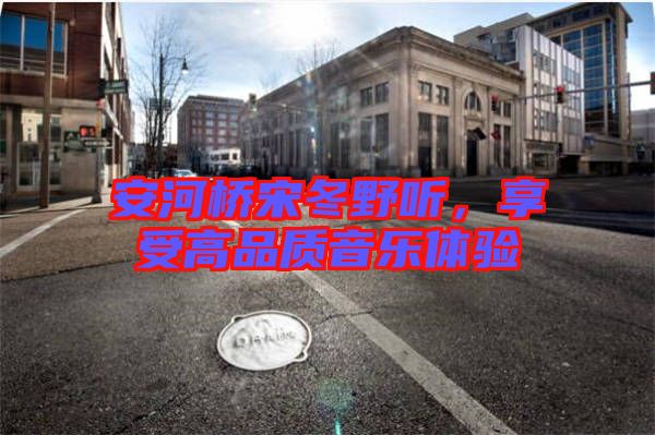 安河橋宋冬野聽，享受高品質(zhì)音樂體驗(yàn)