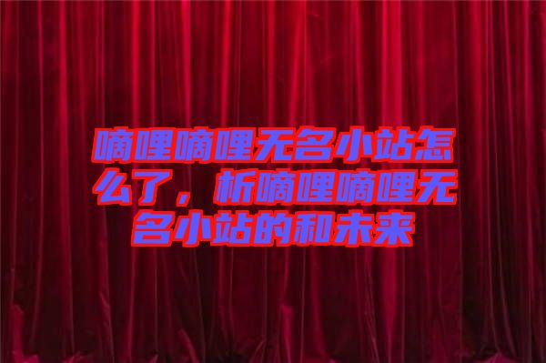 嘀哩嘀哩無名小站怎么了，析嘀哩嘀哩無名小站的和未來