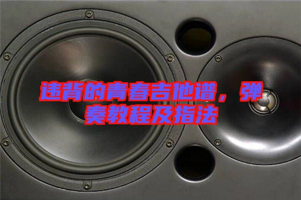 違背的青春吉他譜，彈奏教程及指法