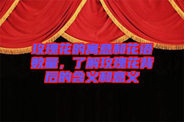 玫瑰花的寓意和花語數(shù)量，了解玫瑰花背后的含義和意義
