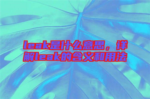 leak是什么意思，詳解leak的含義和用法