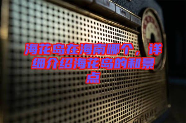 ?；◢u在海南哪個，詳細介紹?；◢u的和景點