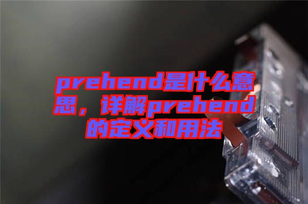 prehend是什么意思，詳解prehend的定義和用法