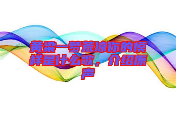 黃粱一夢荒涼你的模樣是什么歌，介紹原聲