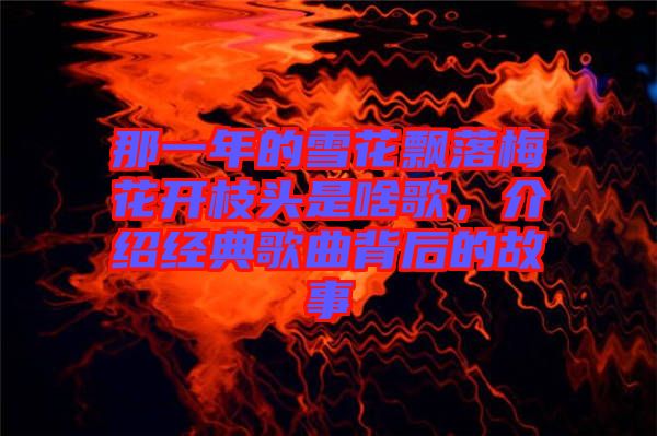 那一年的雪花飄落梅花開枝頭是啥歌，介紹經(jīng)典歌曲背后的故事
