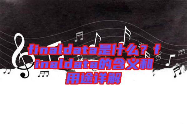 finaldata是什么？finaldata的含義和用途詳解