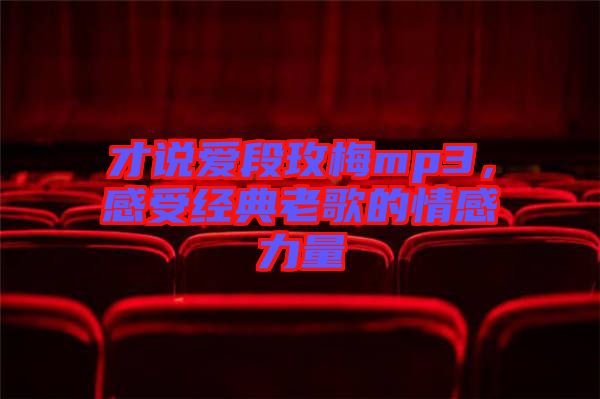 才說愛段玫梅mp3，感受經(jīng)典老歌的情感力量