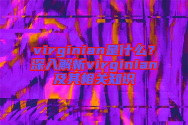 virginian是什么？深入解析virginian及其相關(guān)知識