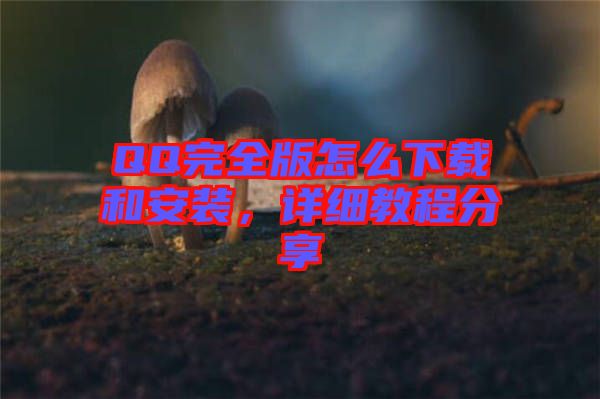 QQ完全版怎么下載和安裝，詳細(xì)教程分享