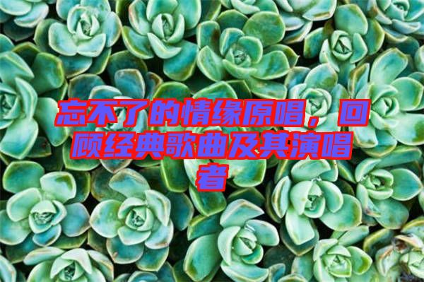 忘不了的情緣原唱，回顧經(jīng)典歌曲及其演唱者