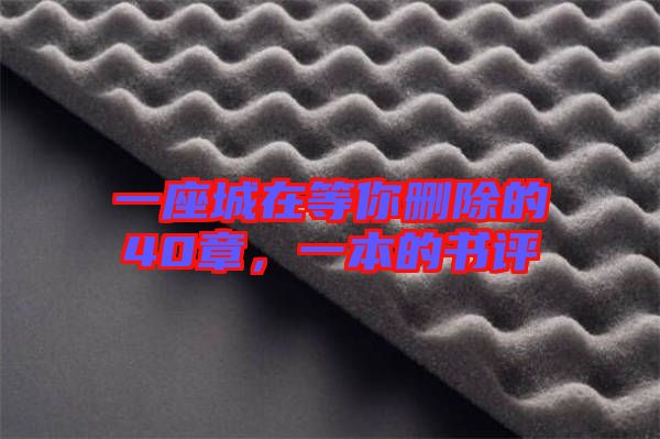一座城在等你刪除的40章，一本的書評