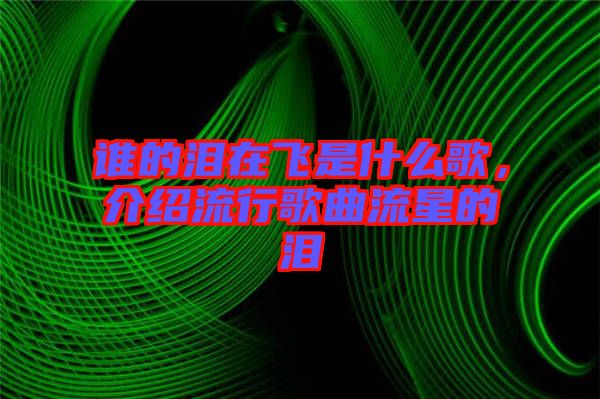 誰的淚在飛是什么歌，介紹流行歌曲流星的淚