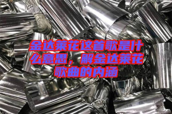 金達萊花這首歌是什么意思，解金達萊花歌曲的內(nèi)涵