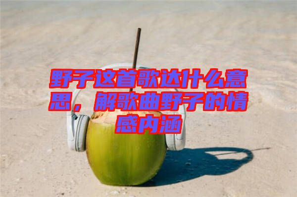 野子這首歌達(dá)什么意思，解歌曲野子的情感內(nèi)涵