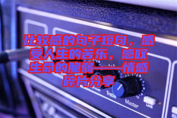 比較感的句子短句，感受人生的苦樂，感嘆生命的脆弱——情感碎片分享