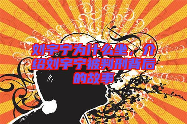 劉宇寧為什么坐，介紹劉宇寧被判刑背后的故事