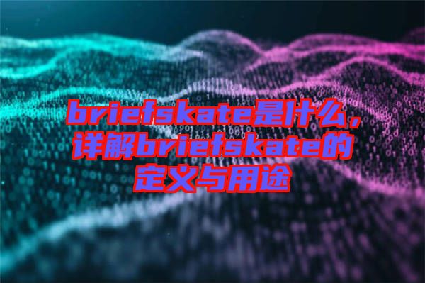 briefskate是什么，詳解briefskate的定義與用途