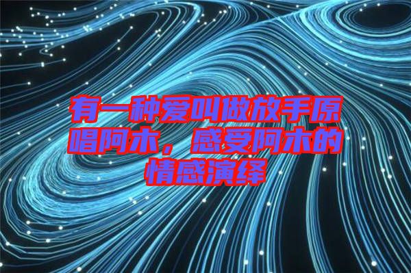 有一種愛叫做放手原唱阿木，感受阿木的情感演繹