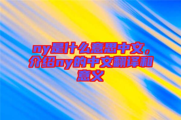 ny是什么意思中文，介紹ny的中文翻譯和意義