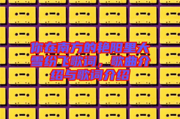你在南方的艷陽里大雪紛飛歌詞，歌曲介紹與歌詞介紹