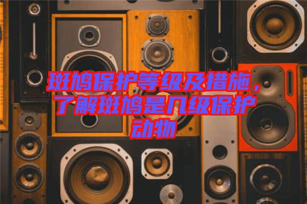 斑鳩保護等級及措施，了解斑鳩是幾級保護動物