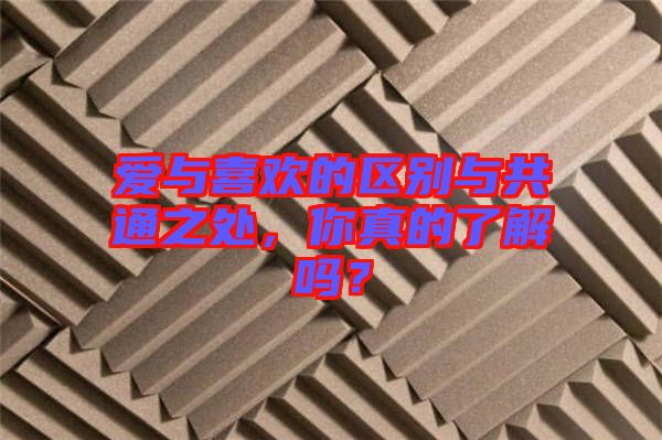 愛與喜歡的區(qū)別與共通之處，你真的了解嗎？