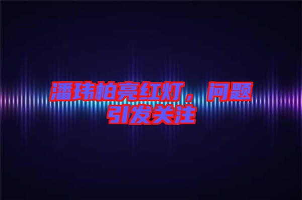 潘瑋柏亮紅燈，問題引發(fā)關注